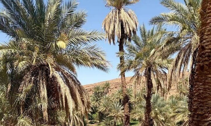 Que faire à Errachidia !