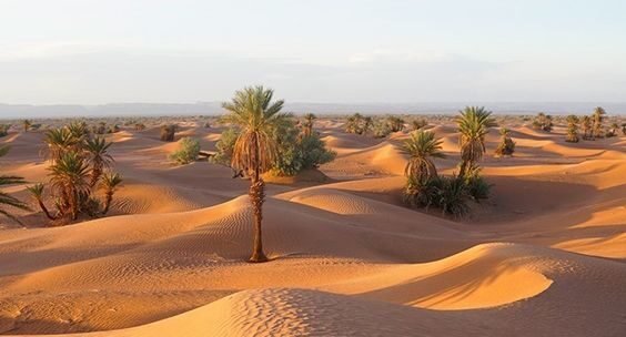 Top 5 des sites naturels à voir autour d’Errachidia